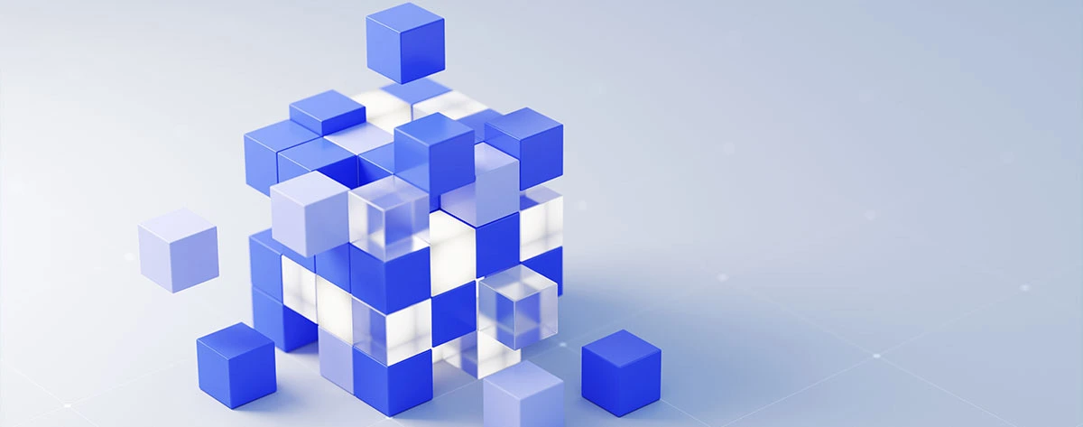 The Evolution Of BPO