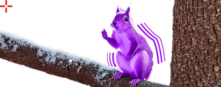 Purple squirrel recruiting tips